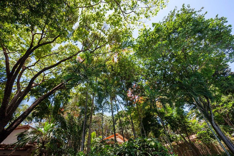 Vossa Bossa Trancoso