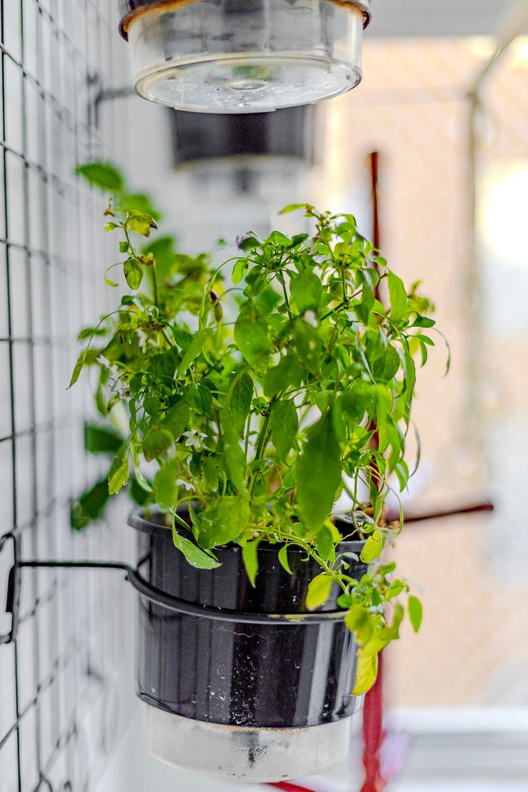 2 quartos na Tabapuã – Prático e aconchegante