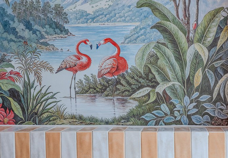 Coral Sunset SampaSpa | 37th Floor View